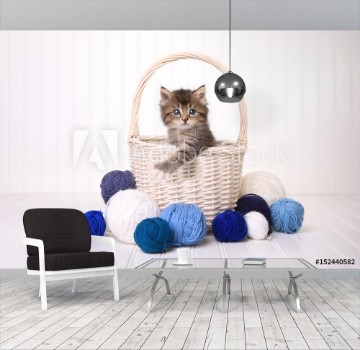 Picture of Cute Kitten in a Basket With Yarn on White